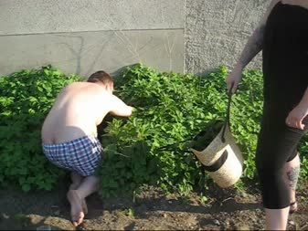 Upbringing With Stinging Nettle Part 1 - Outside the slave stinging nettle must pick while I stand beside it and give directions.